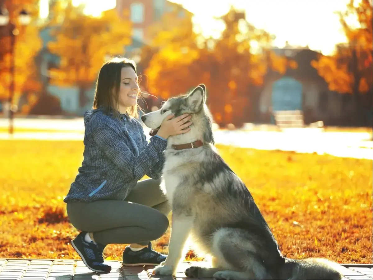 《女人与狗》完整未删减高清1080P无缓冲免费观看-欧美电影《女人与狗》HD无广告