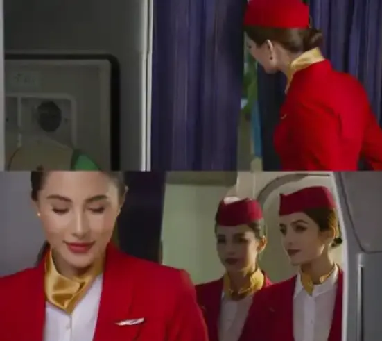 法国电影《法国空姐2019(特别航班)》1080P超清-爱情片未删减版全集在线观看-星辰影院独家资源，中文字幕无广告流畅播放