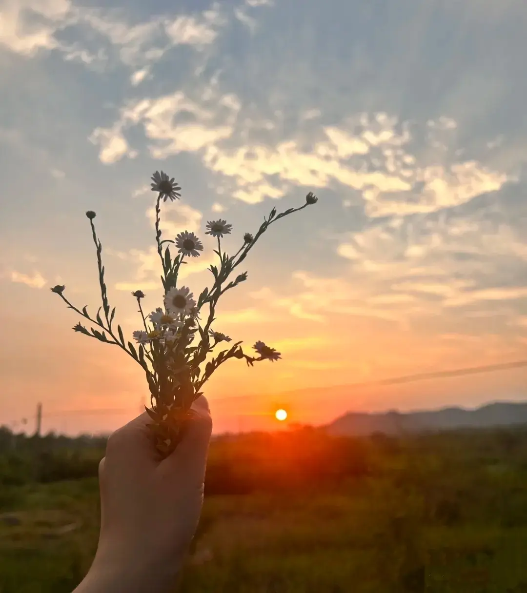 无有效资源名相关资源图片