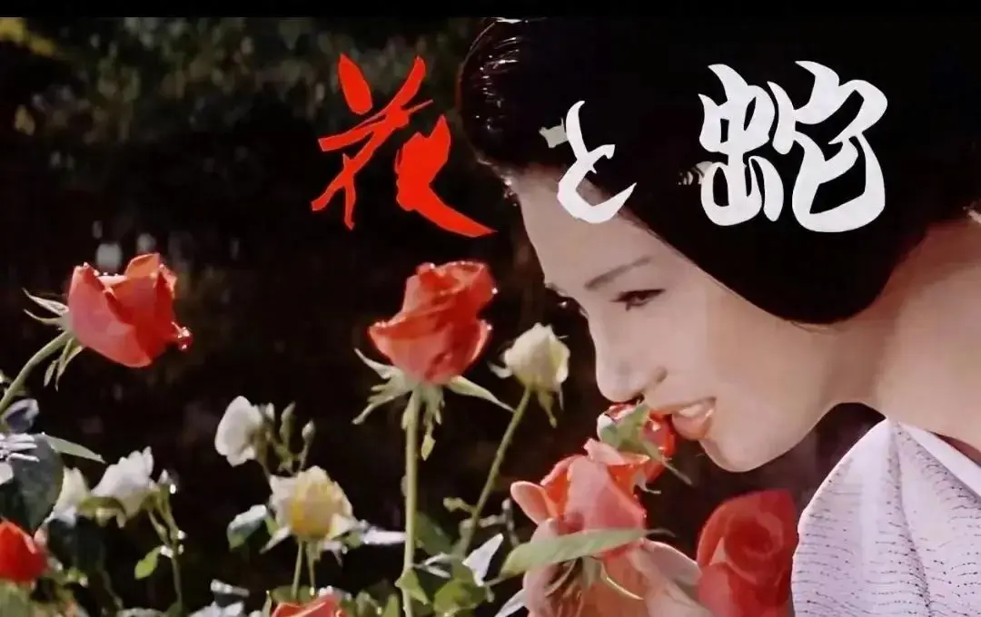 《花与蛇3：白衣绳奴》1080P高清无删减 - 日本电影《花与蛇3：白衣绳奴》在线观看 - 国语中字蓝光画质播放