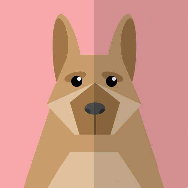 《一起去吃拉面吗》2026韩剧全集HD1080P高清在线观看-最新韩国伦理剧《一起去吃拉面吗》无删减版免费看-夸克网盘资源下载