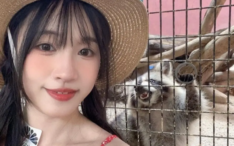 《苏畅》国产女神苏畅在线观看全集免费 - 苏畅高清1080p电视剧免费观看 - VS影视