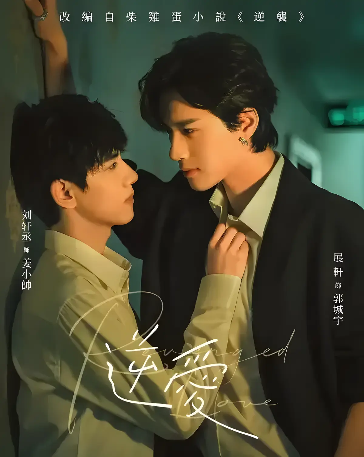2025双男主电视剧《逆袭》全集1080P高清观看 - 爱情国剧《逆爱》免费在线播放无广告正片完整版 - VS影院全网影视最新资源