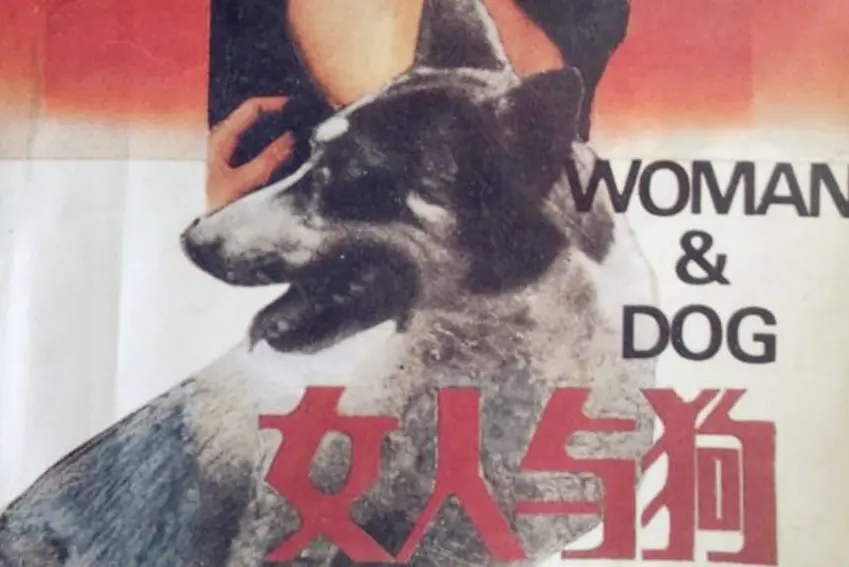 《女人与狗》- 全季无删减免费观看 - 欧美电影女人与狗1080P HD蓝光 - 无广告在线播放流畅体验