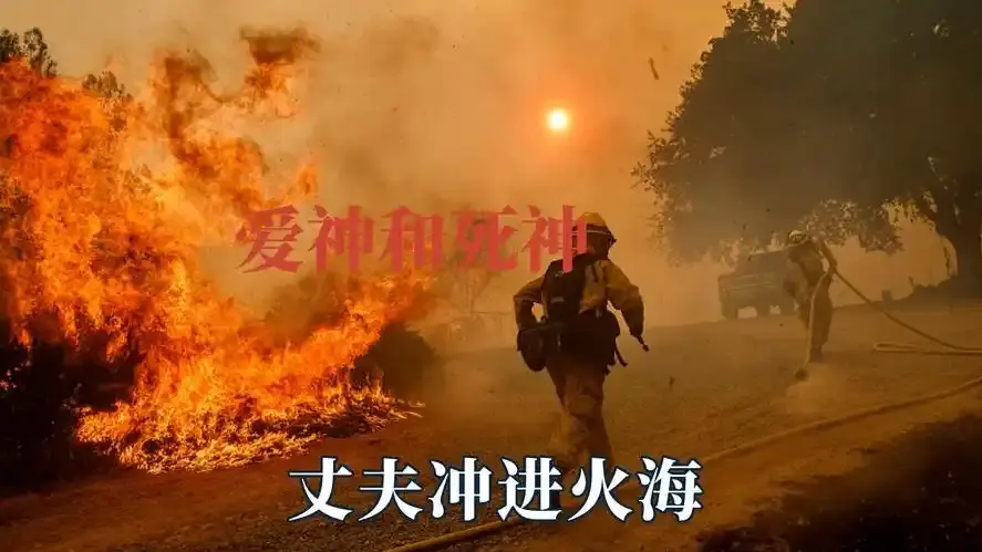 《爱神与死神》1080P高清全集-4K修复未删减终极版-免费在线看无广告星辰影院热映《爱神与死神》