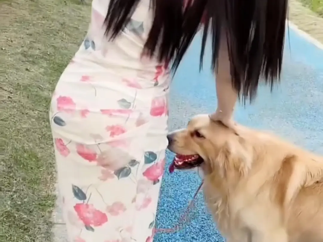 抖音香香公主与爱犬直播回放网盘资源持续有效免费领取