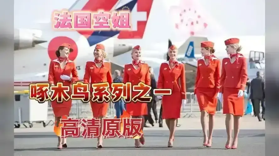 《法国空姐》4K杜比视界蓝光资源-法语原声无删减版-三季（2017-2023）全收录《法国空姐》法剧标杆免费放送