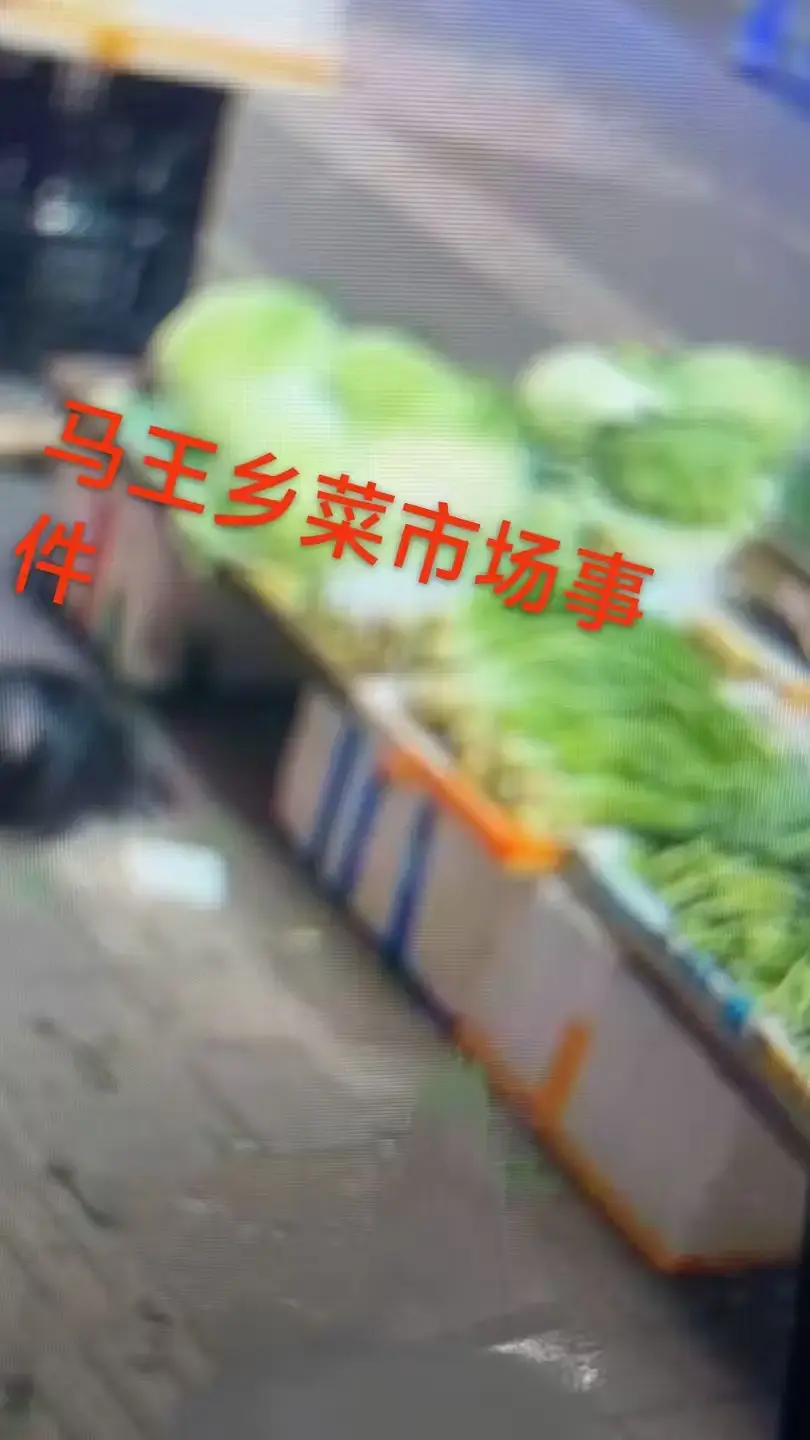 《重庆马王乡菜市场事件》一手视频曝光！HD高清画质流畅播放，附关键节点时间标记，免费在线看重庆马王乡菜市场事件！