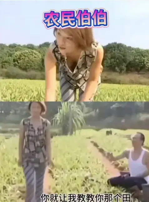 《农民伯伯乡下妹》全集高清未删减免费看-台湾冷门乡土剧越看越上头-治愈日常无广告无卡顿观影