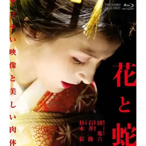 日本电影《花与蛇》全网首发高清-《花与蛇》无删减国语在线看-夸克网盘4K下载