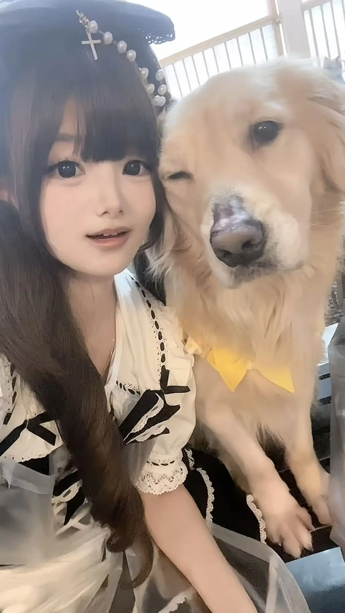 《金毛小蛋糕海鲜事件》全集在线观看，蓝光超高清画质，无广告畅享，感受香香公主与金毛小蛋糕的海鲜故事！