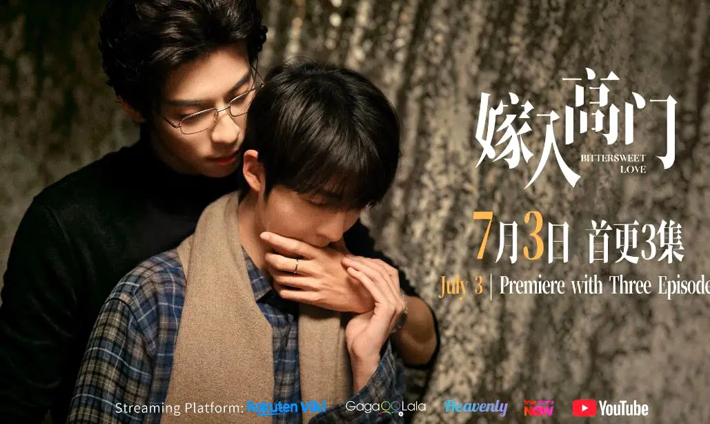 免费看《嫁入高门的男人》全22集，双男主爱情剧HD高清画质无卡顿-2026新剧《嫁入高门的男人》在线观看不广告-VS影院