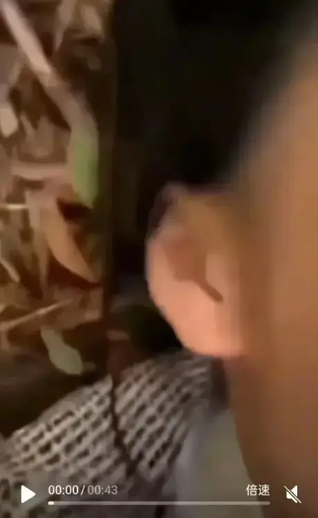 聚焦《女轻奢事件》，轻奢事件引发热议，双人大战看点十足，校园轻奢男孩与轻奢二人组全片免费高清播放！