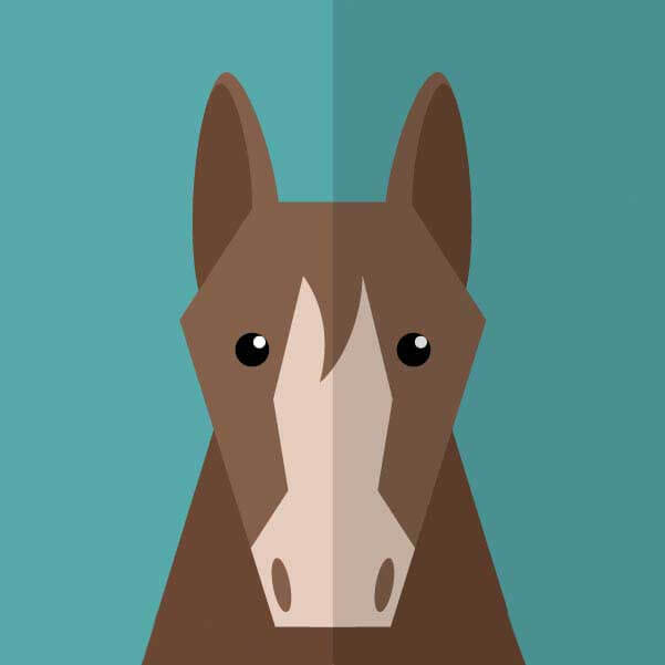 韩国电影《不忠》未删减版在线看_不忠高清完整版免费播放_不忠1080P无广告流畅观看-影视宝库