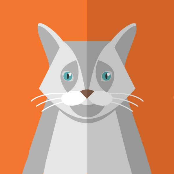 韩国电影《青春》高清免费在线观看 - 《青春》完整版无广告HD中字 - 星辰影院全片免费看