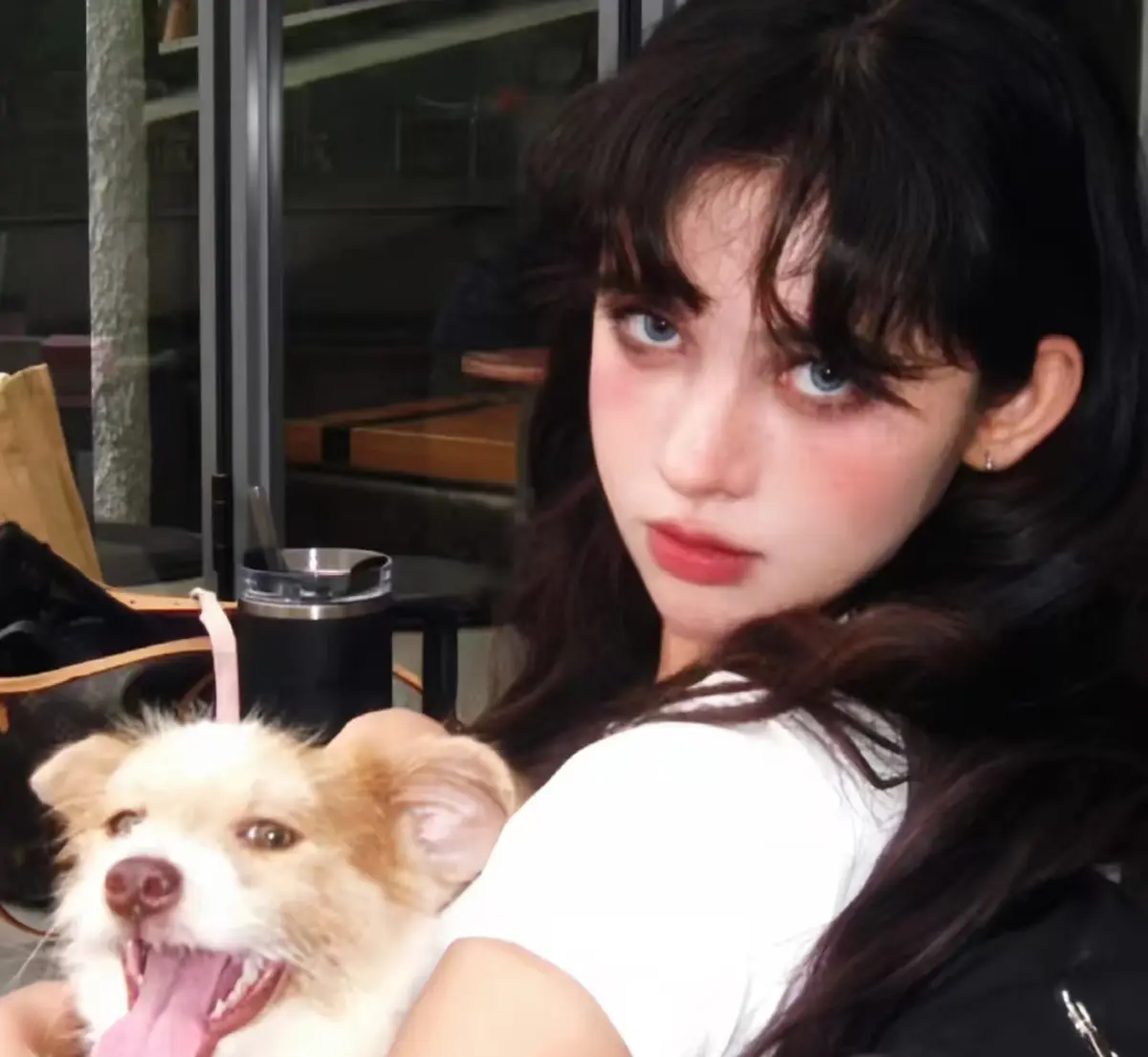 口碑佳作-《特殊的按摩精油》全集未删减中文免费在线观看-内嵌字幕无广告沉浸式观影-附网盘备份资源链接